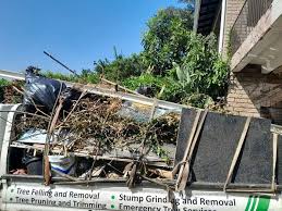Best Construction Debris Removal  in Grandview, IL